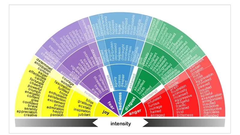 Can AI Predict Emotions Better Than Us
